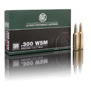 RWS .300 WSM EVO 11,9g (20)