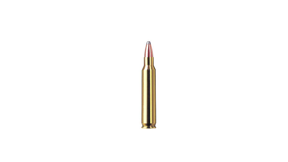 RWS .223 Rem. SP 3,6g (20)