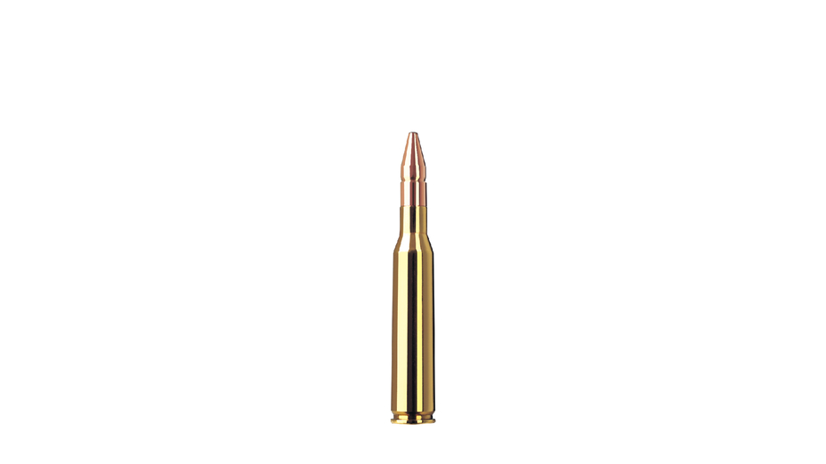 RWS 6,5x57 DK 9,1g (20)