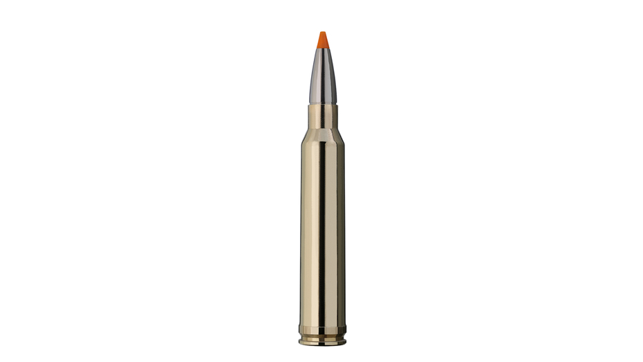 RWS .300 Win. Mag. HIT 10,7g (20)