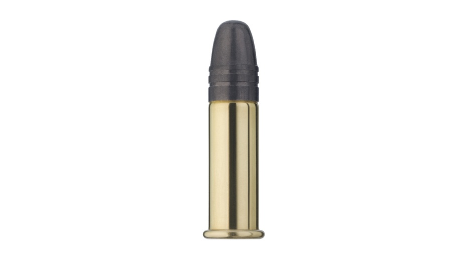 RWS .22lfB P25 Rapid Fire (50)